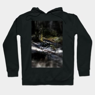 snowy Oregon forest 10 Hoodie